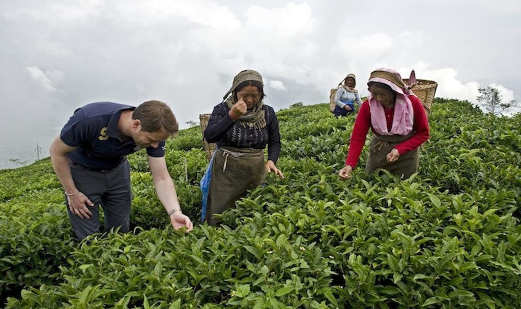 Singtom Tea Estate & Resort Darjeeling  Exterior photo